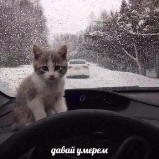 💅 emoji блять да почему я должна придумывать название Telegram sticker 10 of 18