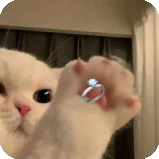 💍 emoji Sawako 2 Telegram sticker 2 of 109