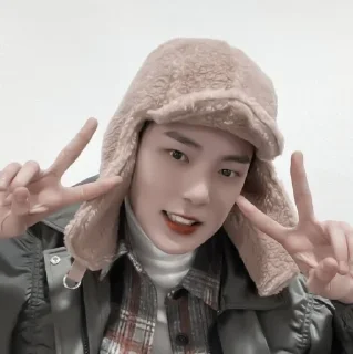 Sticker from #minhyuk aesthetic «🪵 by @lumicore_present