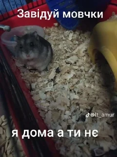 🌟 emoji Ми папуляріті🙄💅 Telegram sticker 6 of 7