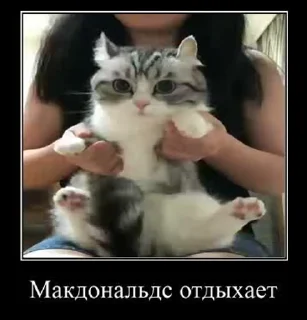 Sticker from милки топ