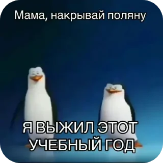 Sticker from Жить в кайф 🥷