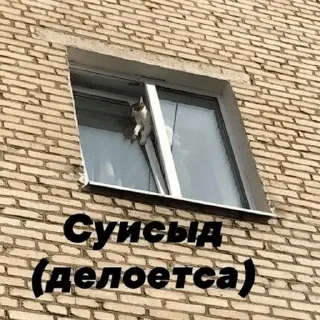 🔫 emoji Шутки за 299 Telegram sticker 14 of 78