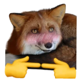 Sticker from Ася