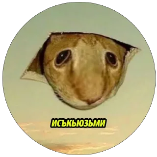 😢 emoji выдра Telegram sticker 11 of 95