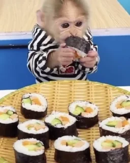 🍱 emoji Бибизьяна ты Telegram sticker 15 of 72