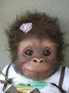 🐵 emoji Бибизьяна ты Telegram sticker 17 of 72