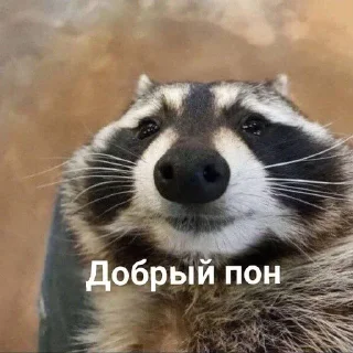 Sticker from Еноты