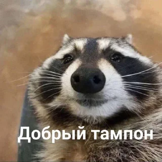Sticker from Еноты