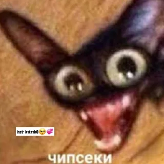 😀 emoji inst: kstask0🥺💞 Telegram sticker 14 of 33