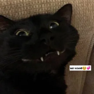 😺 emoji inst: kstask0🥺💞 Telegram sticker 10 of 33