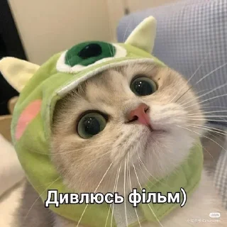 🍿 emoji Kitty ฅ^•ﻌ•^ฅ Telegram sticker 24 of 100