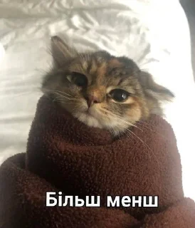 🙃 emoji Kitty ฅ^•ﻌ•^ฅ Telegram sticker 16 of 100