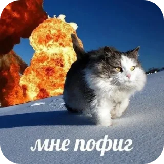 😒 emoji Кидс Telegram sticker 24 of 48