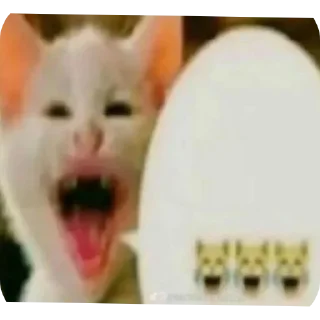 😹 emoji Кидс Telegram sticker 16 of 48