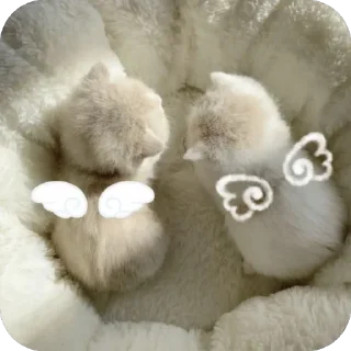 🖤 emoji Личные кити Полины Telegram sticker 7 of 57