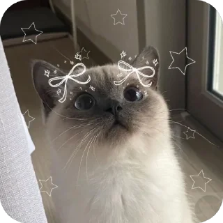 🤓 emoji Личные кити Полины Telegram sticker 16 of 57