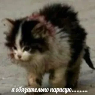😔 emoji Добро и позитив Telegram sticker 17 of 75
