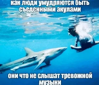 🦈 emoji я устала Telegram sticker 19 of 31