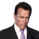 ☹ emoji Арнольд Telegram sticker 4 of 48