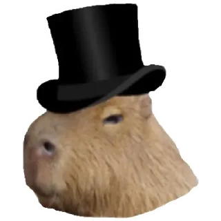 💚 emoji Капибара Telegram sticker 23 of 30