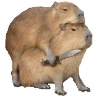 💚 emoji Капибара Telegram sticker 10 of 30