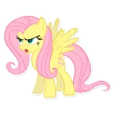 Sticker from fluttershy