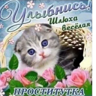 😃 emoji Смешные картинки из Интернета Telegram sticker 18 of 92