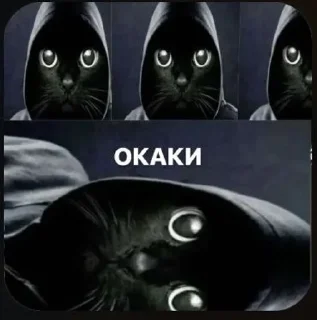 🌟 emoji коты Telegram sticker 9 of 87