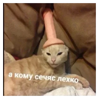 ❤️ emoji Саймон говорит @Psycho_cat Telegram sticker 16 of 120