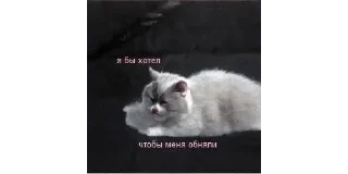🫂 emoji Целое поле ромашек @CHEz42nUTS Telegram sticker 15 of 43
