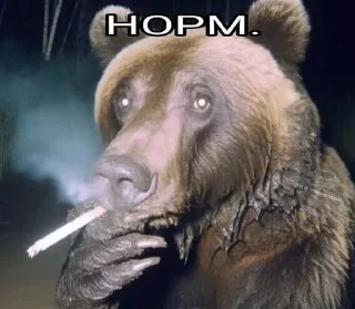 👌 emoji Лютейша свага Telegram sticker 24 of 77