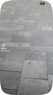 Sticker from Video plug