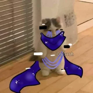 😽 emoji Cats sans | @ish_crim Telegram sticker 13 of 93