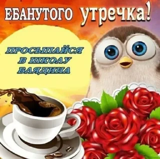 🧎‍♀️ emoji Доброе утро (nvch) Telegram sticker 19 of 37