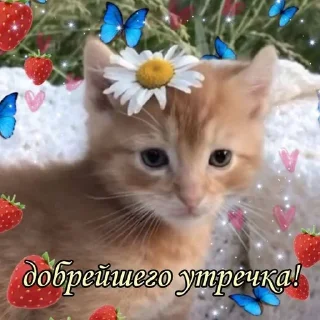 🌟 emoji gm_krestinina Telegram sticker 12 of 42