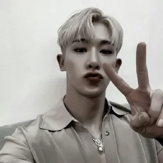 🥠 emoji #𝐦𝐨𝐨𝐝: wonho ;: by @paradismaudit Telegram sticker 13 of 40