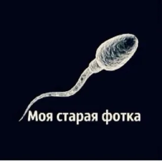 📷 emoji Мем Telegram sticker 15 of 35