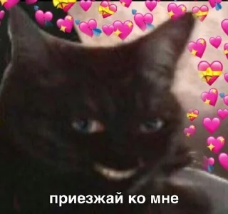🌟 emoji Пикчи Telegram sticker 4 of 59