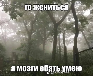 🌟 emoji имба Telegram sticker 19 of 51