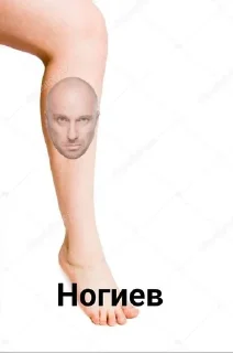 Sticker from Животное