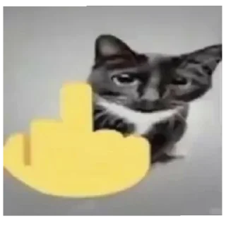 🖕 emoji cats Telegram sticker 13 of 16