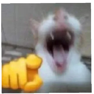 👆 emoji cats Telegram sticker 7 of 16