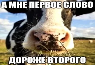 😤 emoji ДОРОЖЕ РОДИНЫ | @sticki_price Telegram sticker 11 of 45