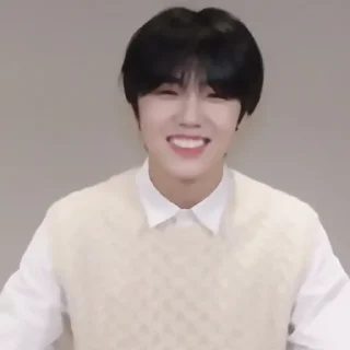 🌵 emoji ✦ ָ ֙⋆ seongmin by @paradoxstickers Telegram sticker 23 of 25