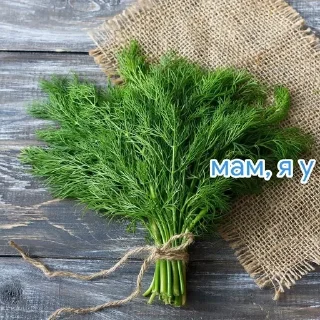 🌟 emoji Валерия Лукьянова Telegram sticker 7 of 35