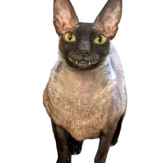 Sticker from пиксель @pixel_gifs