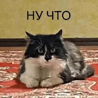 🙂 emoji Lucifer Telegram sticker 1 of 16