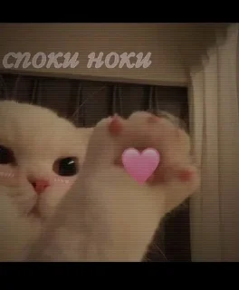 Sticker from Ночь))