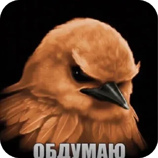 🐦 emoji 🐦 Telegram sticker 7 of 51
